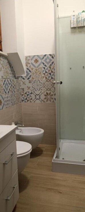 Shower, hair dryer, bidet, towels