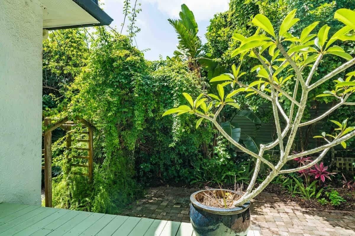 A potted plant on a wooden deck with a brick pathway and dense greenery in the background.