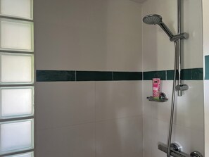 Shower, hair dryer, towels, soap