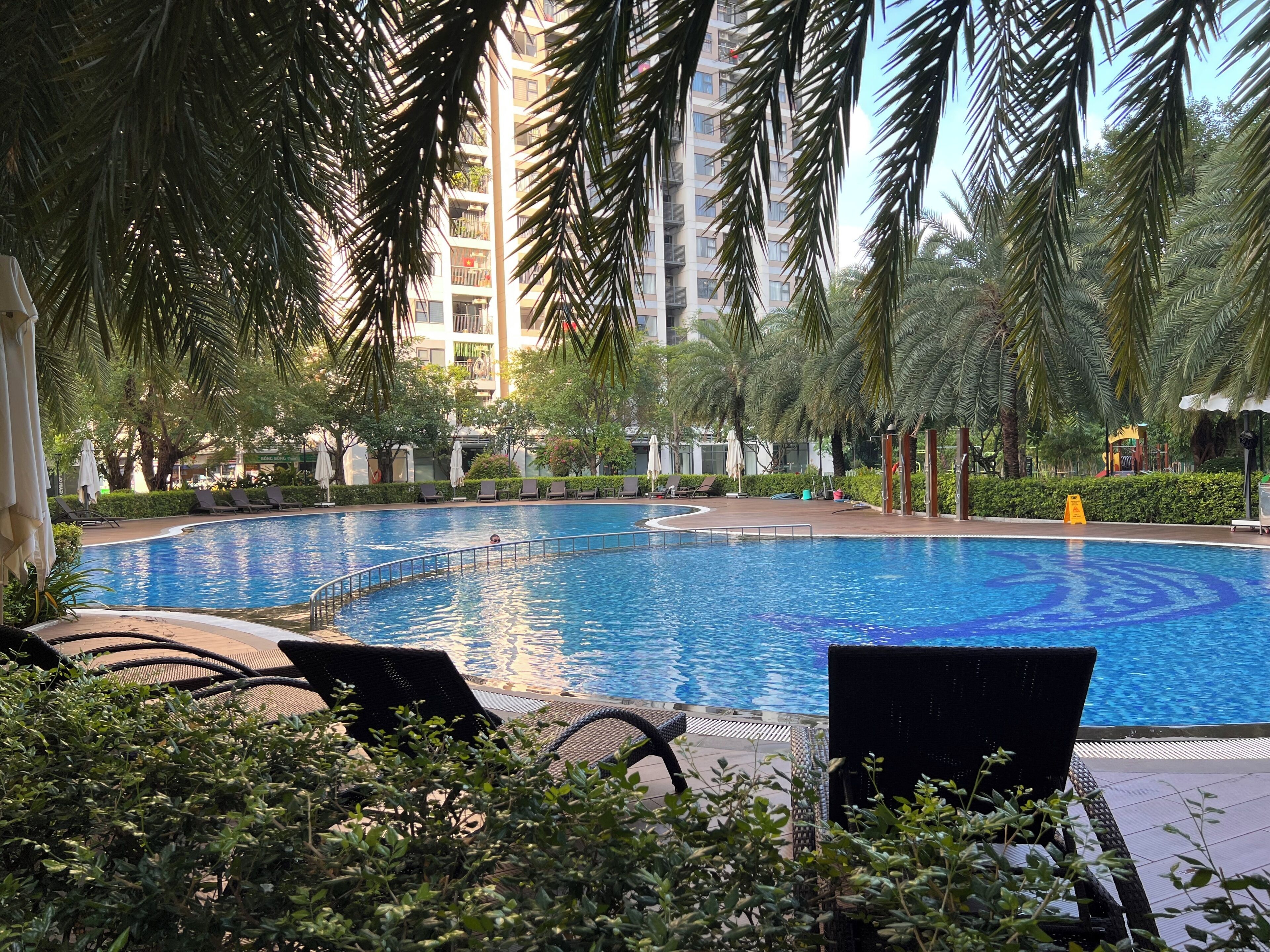 A swimming pool surrounded by lounge chairs and palm trees, with a building in the background.