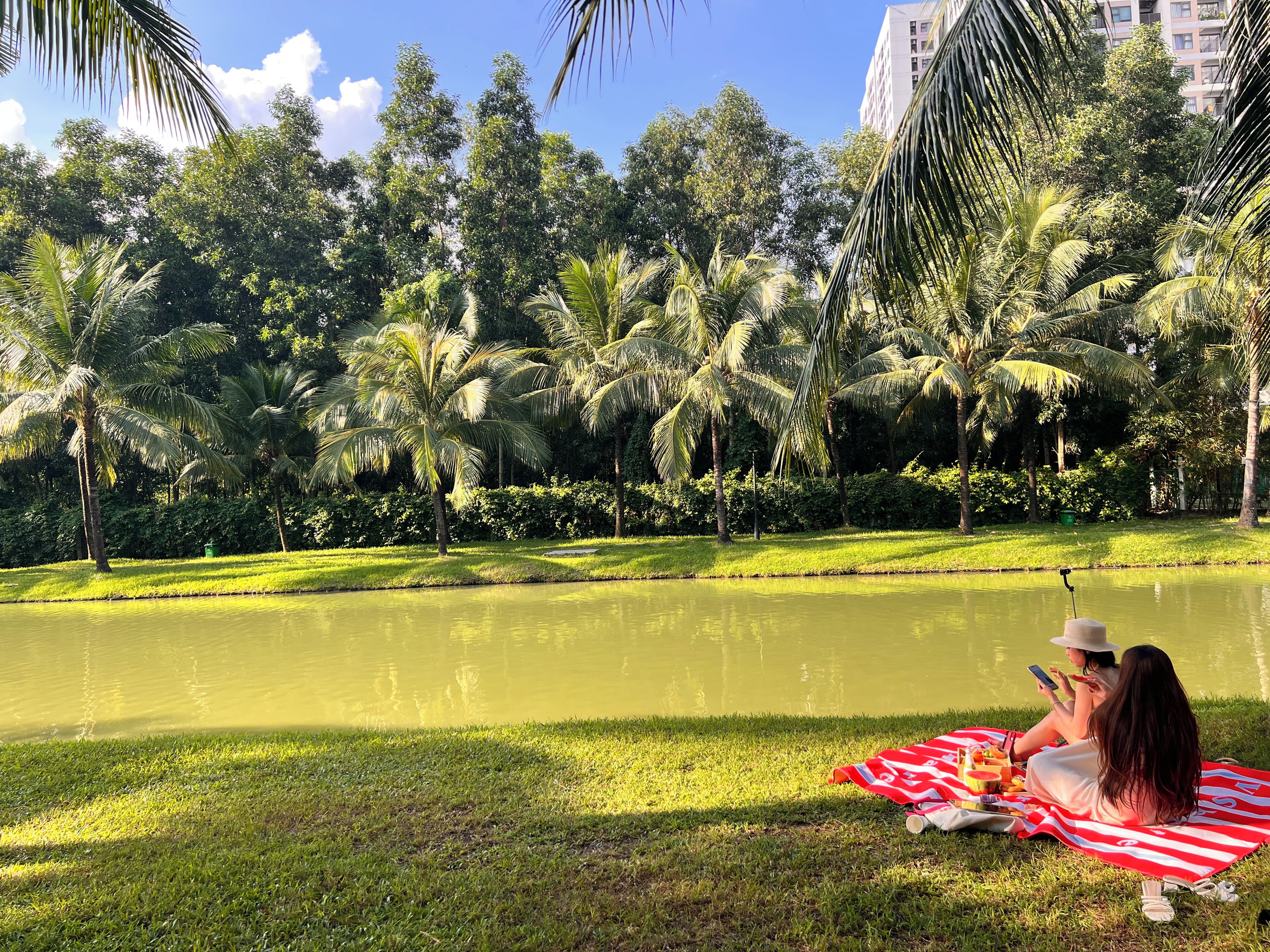 A park with a pond, grass, and palm trees.