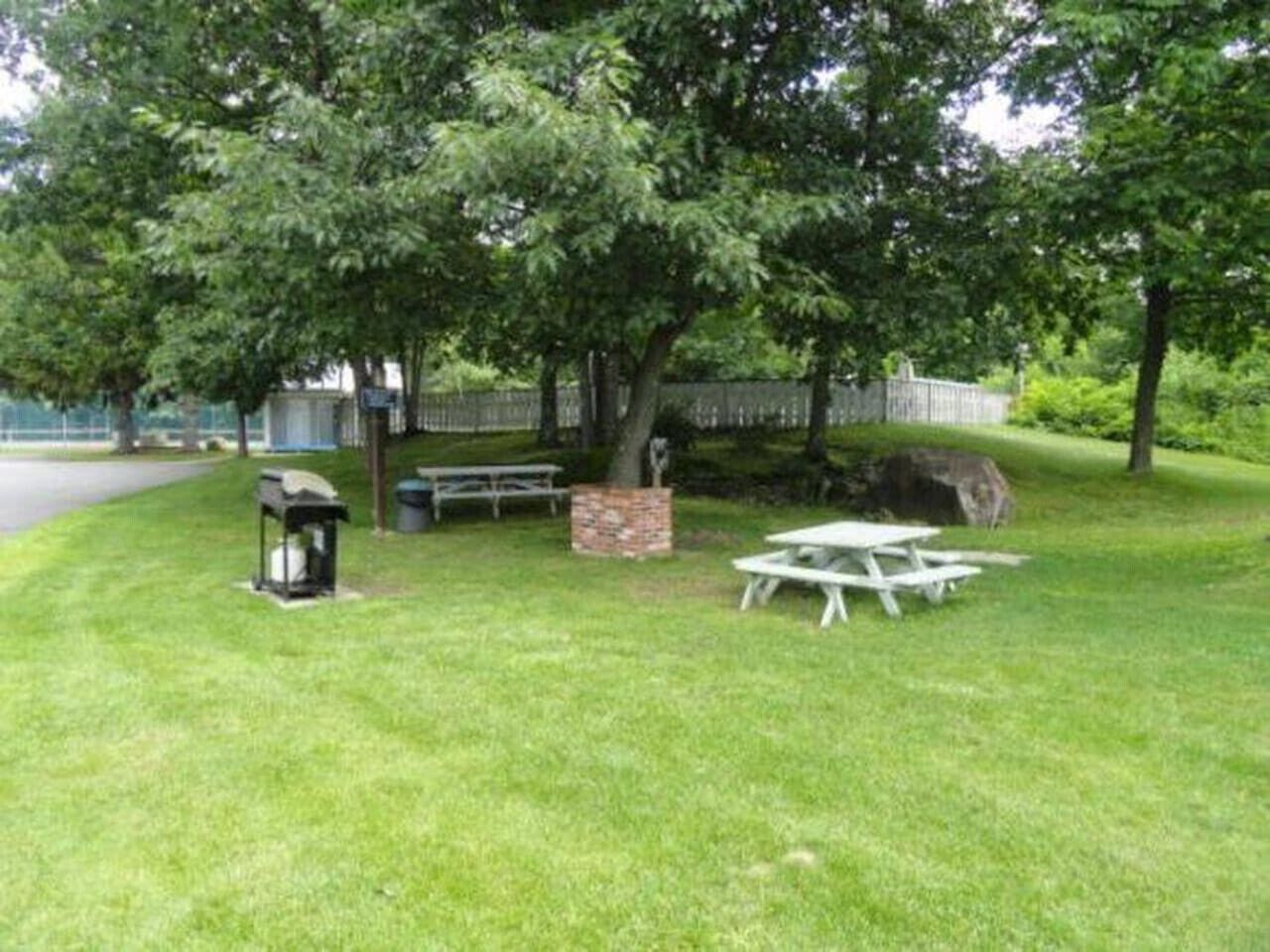 A grassy outdoor area with a picnic table, a trash bin, and a bench under a tree.