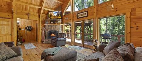 Smart TV, fireplace, books