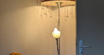 Splitting Links19791