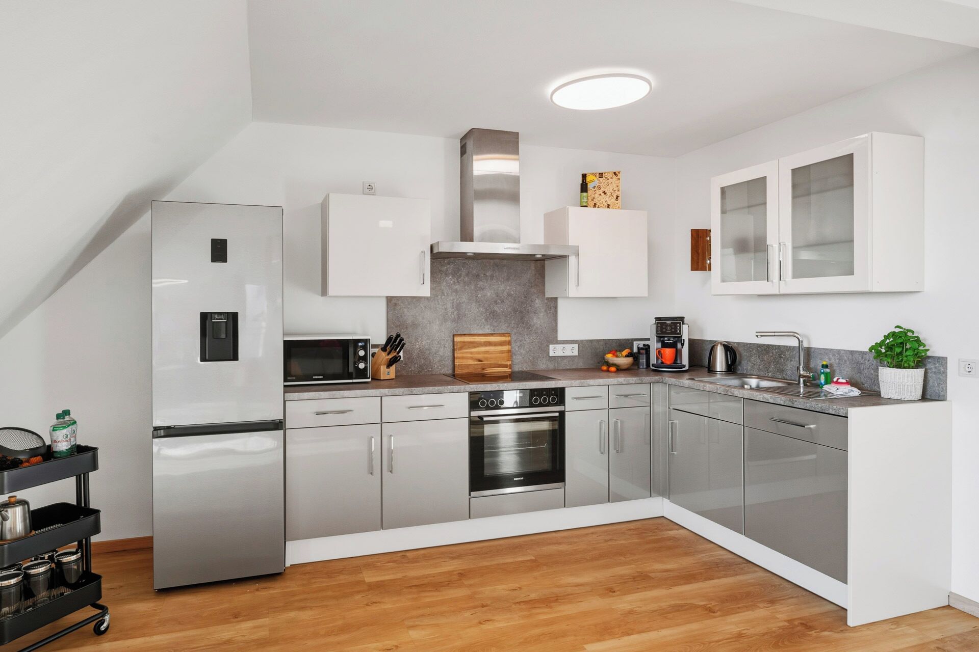 Ofen, Herdplatte, Geschirrspüler