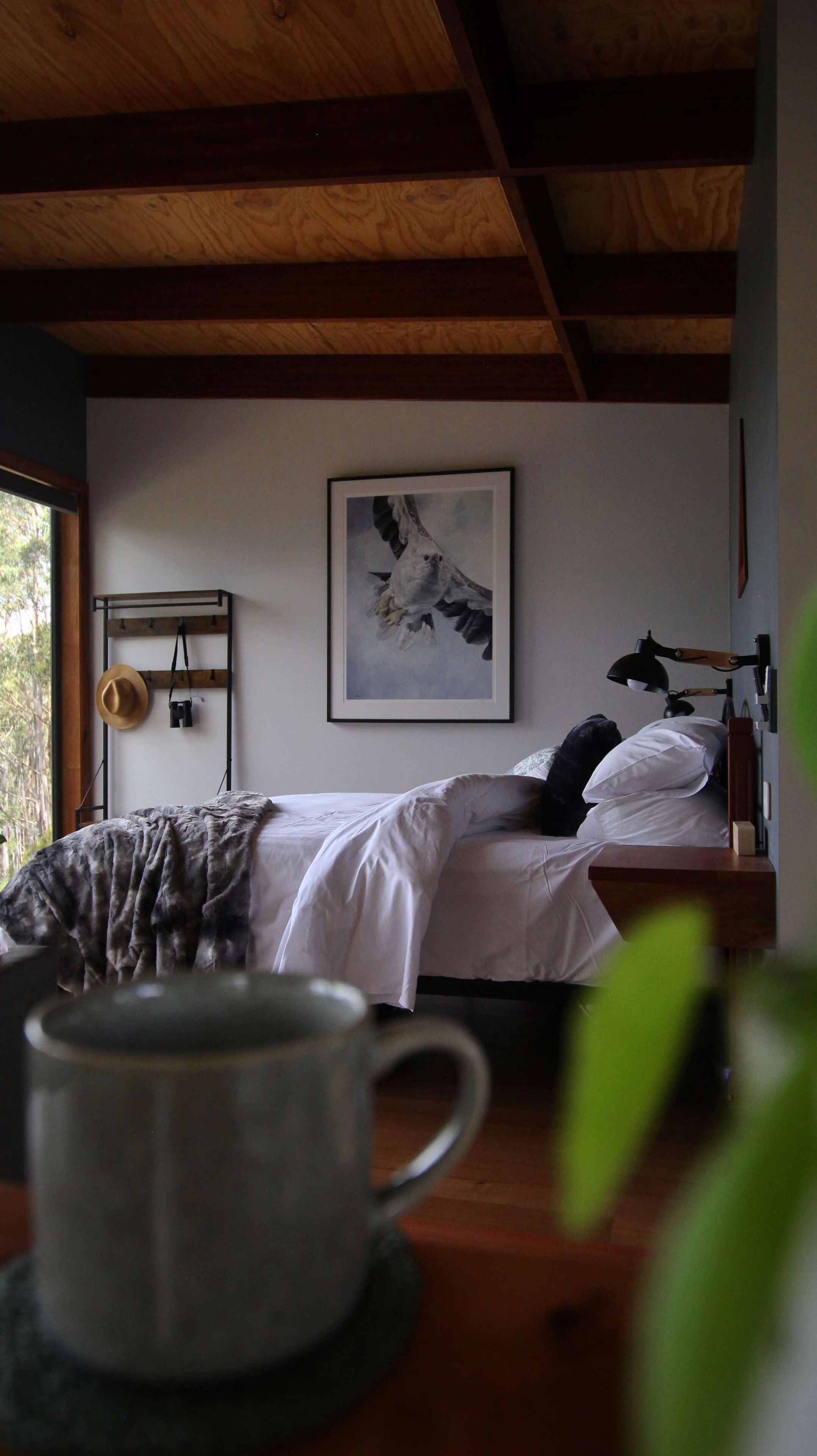 White bellied Sea eagle studio | Desk, laptop workspace, free WiFi