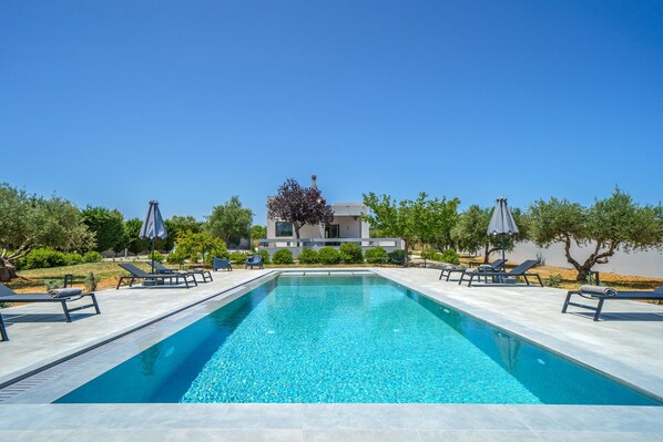 A rectangular swimming pool with lounge chairs and umbrellas, surrounded by trees and a building in the background.