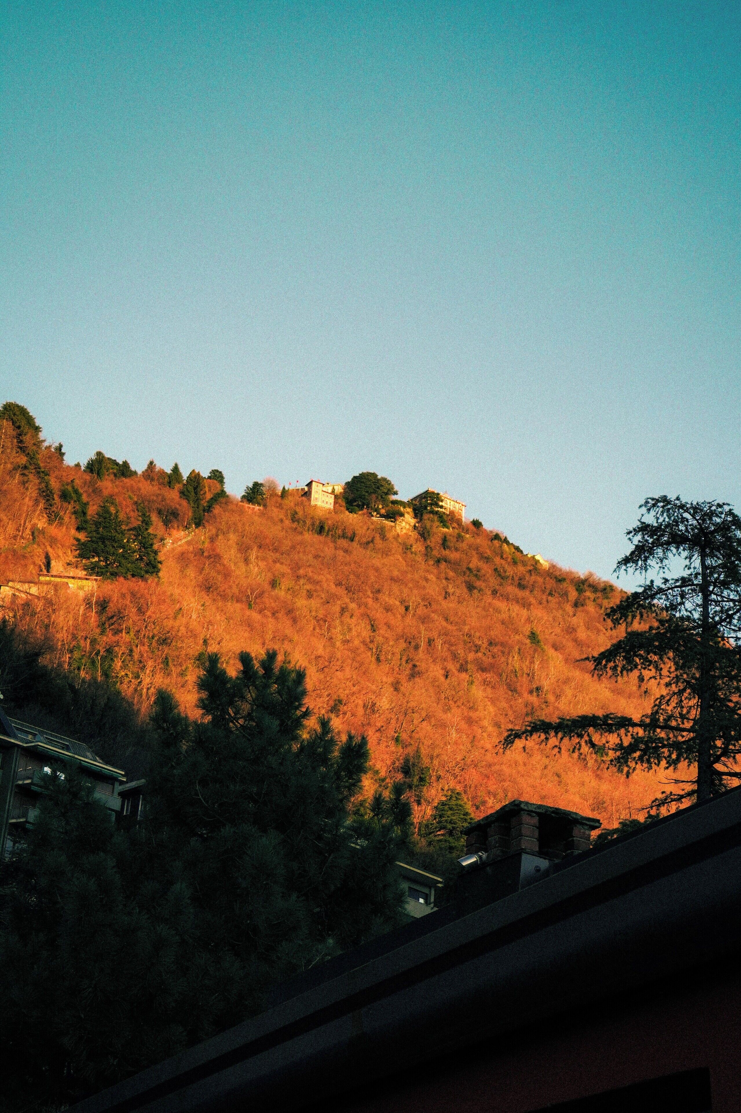 A hillside with buildings and trees.