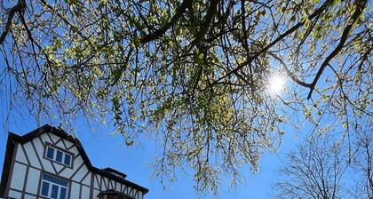 1 Schlafzimmer Unterkunft in Han sur Lesse