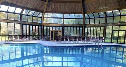 Poconos Vacation Sauna, Theater, Game Room