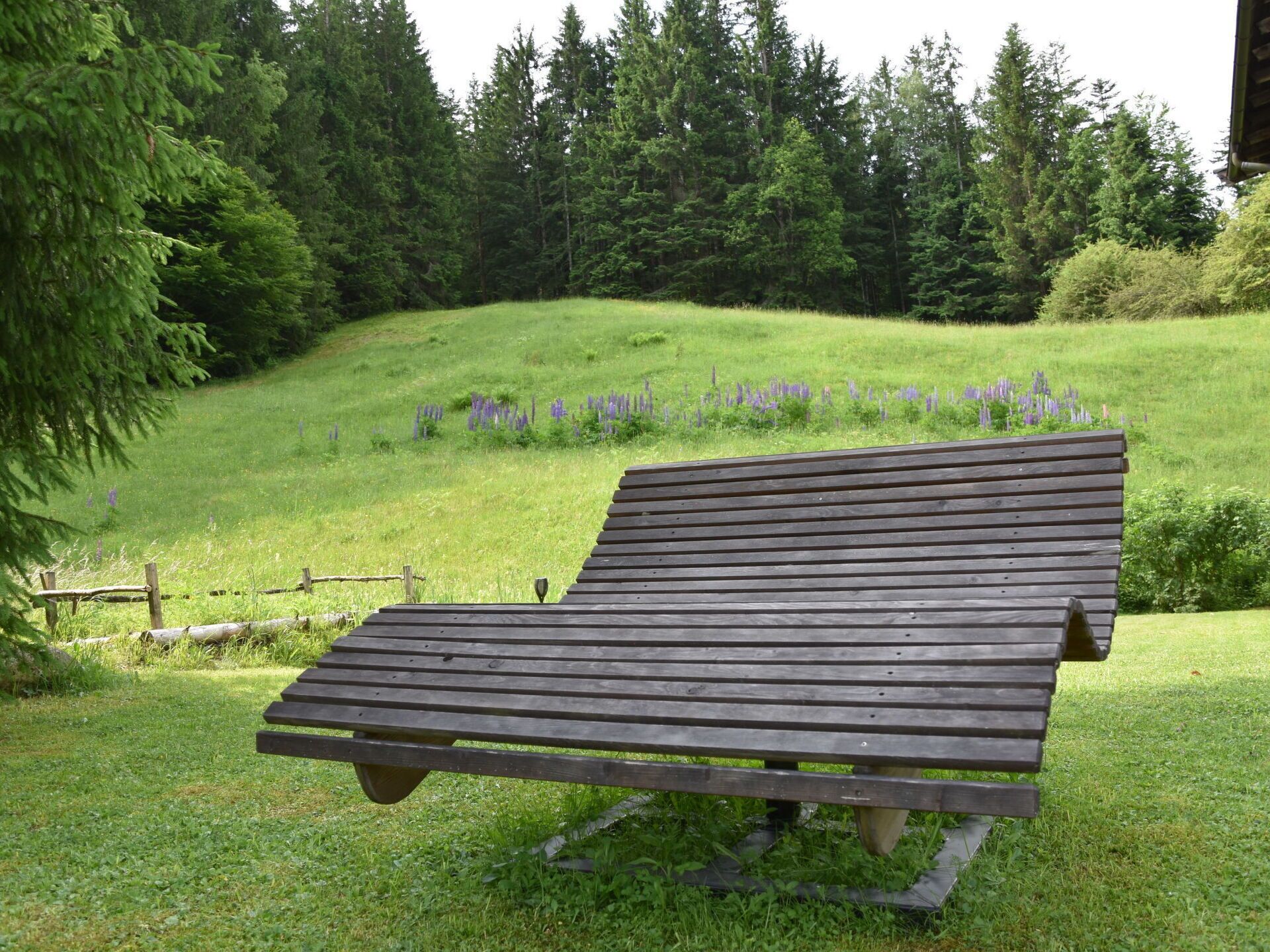 Terrain de l’hébergement 
