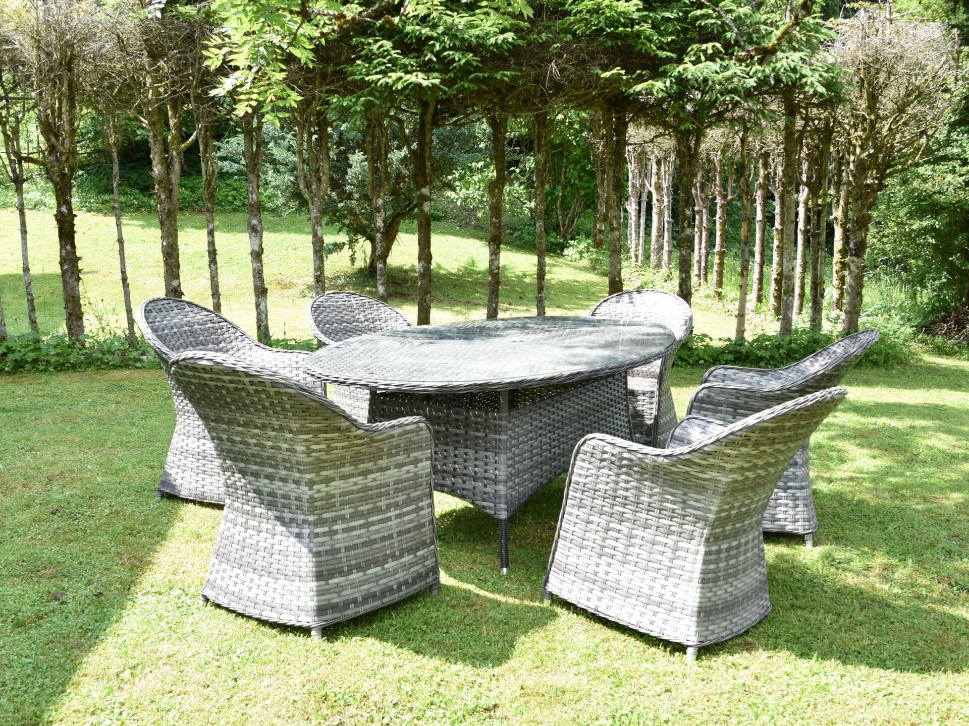 A round outdoor dining table with wicker chairs, surrounded by a grassy area and trees.
