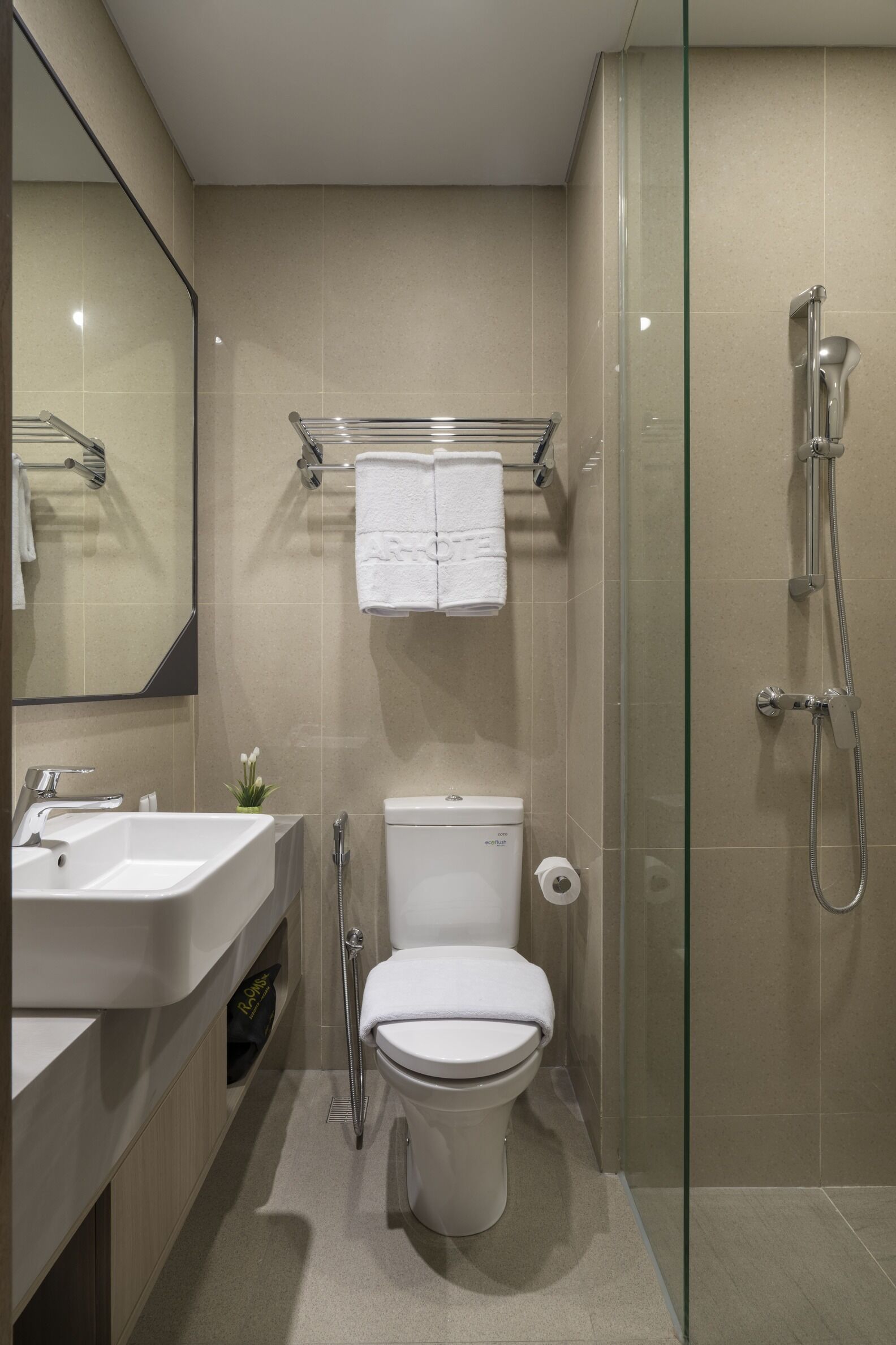 A modern bathroom with a glass shower enclosure, a toilet, a sink, and a mirror.