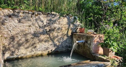 Rare product: Top-of-the-range Provencal farmhouse in the heart of the vineyards