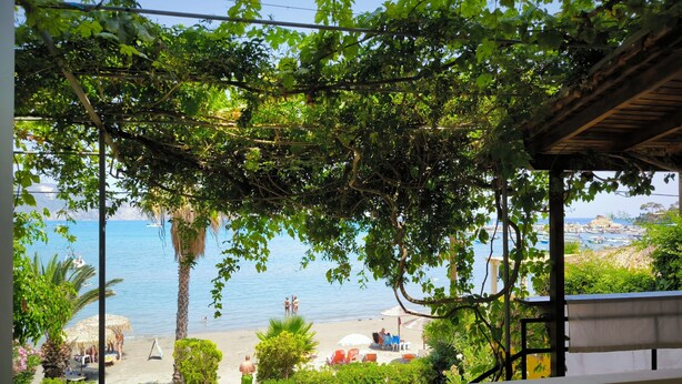 A view from a balcony overlooking a beach with a clear sky, palm trees, and a distant view of boats and buildings. - Aggelika Apartments (Zakynthos)