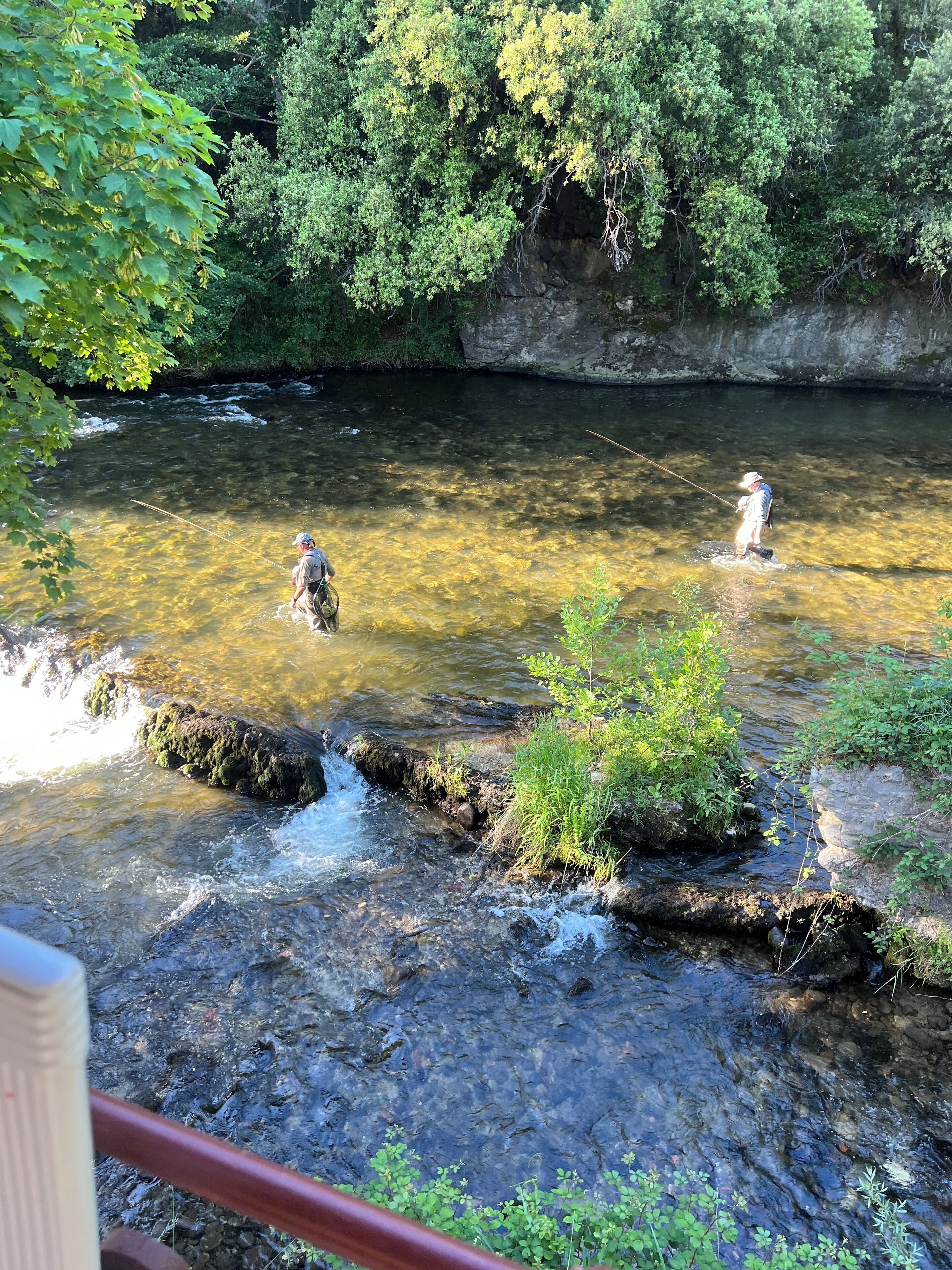 Une rivière aux eaux claires, bordée de verdure et de rochers.