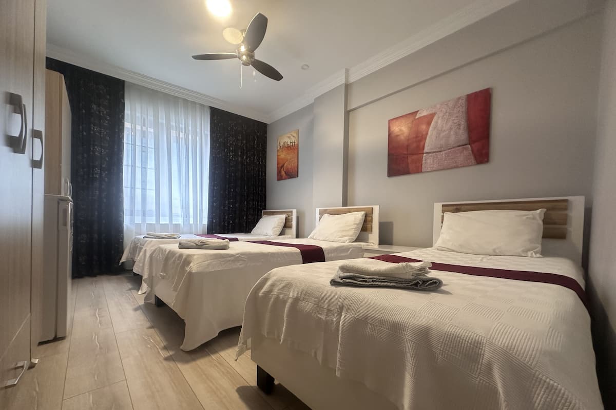 Economy driepersoonskamer | Een minibar, een bureau, een laptopwerkplek, gratis wifi