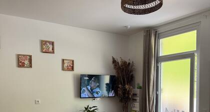 3 adjoining apartments-Ideal for groups/families/friends-T2+Private parking lot