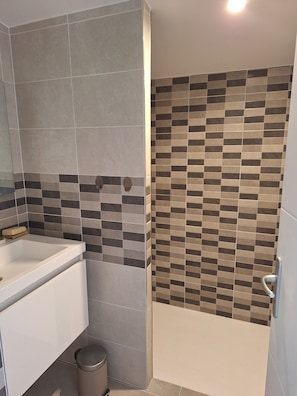 Shower, towels, toilet paper