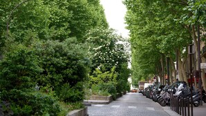 A tree-lined street with parked motorcycles and a building with a sign reading 'Rue Martyrs'. - 1586 Hauteville (Paris)