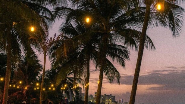 A beachside restaurant with outdoor seating, palm trees, and string lights.