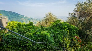 Una escalera rodeada de abundante vegetación, que conduce a una vista panorámica de un valle y edificios lejanos.