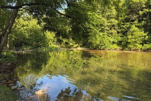A calm river surrounded by dense green foliage.