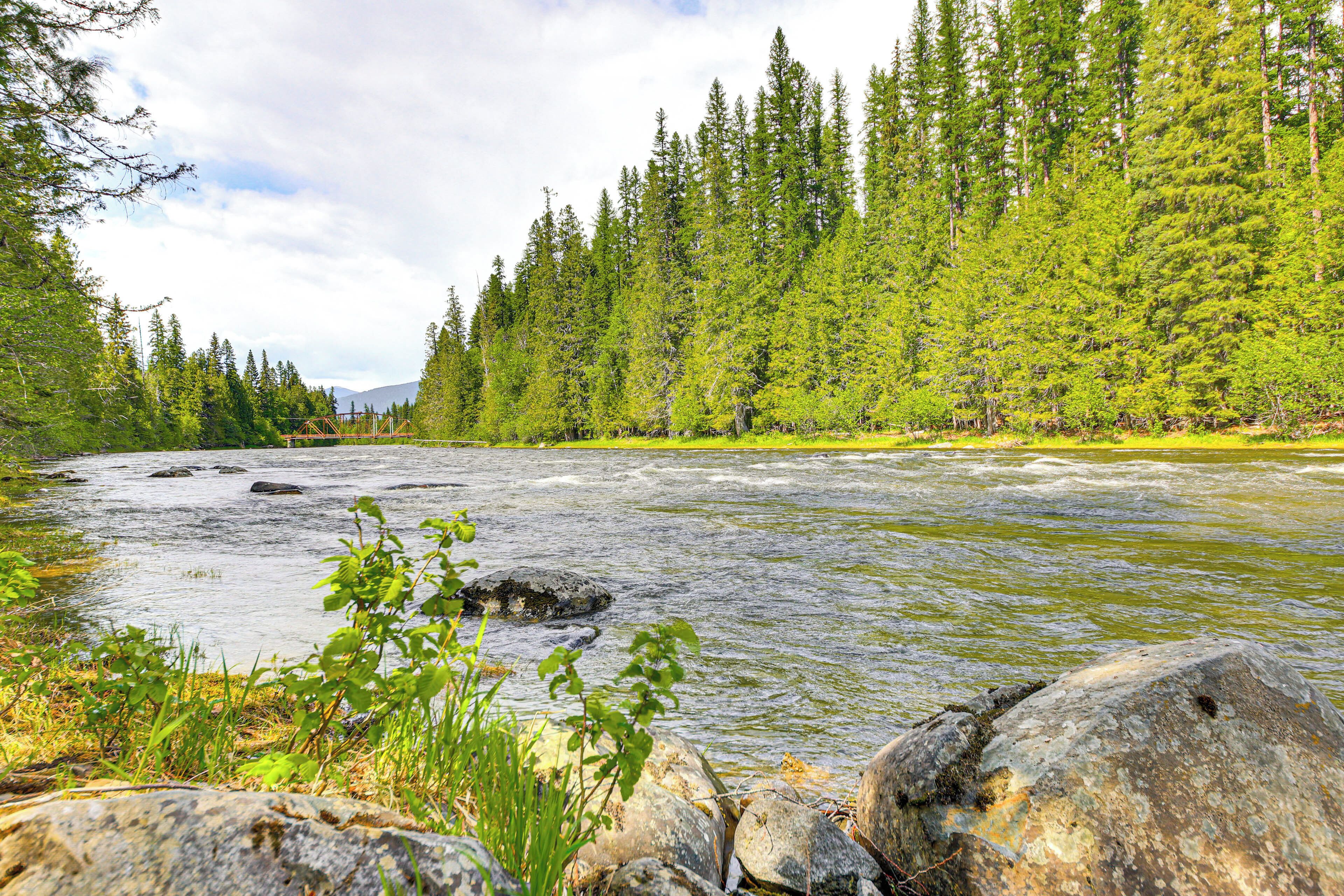 A river flowing through a forest with rocks and greenery along the banks.