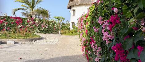 Overnattingsstedets uteområder