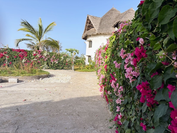 Property grounds - Stylish - 4BRM Vacation Rental- Pool- Self Catering (Malindi)