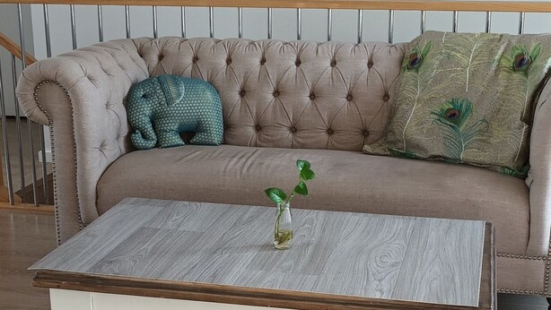 A beige tufted sofa with a peacock pillow and a green elephant pillow. In front of the sofa is a wooden coffee table with a glass vase.