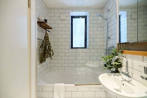 Shower, hair dryer