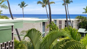 A beachfront property with palm trees and a view of the ocean.