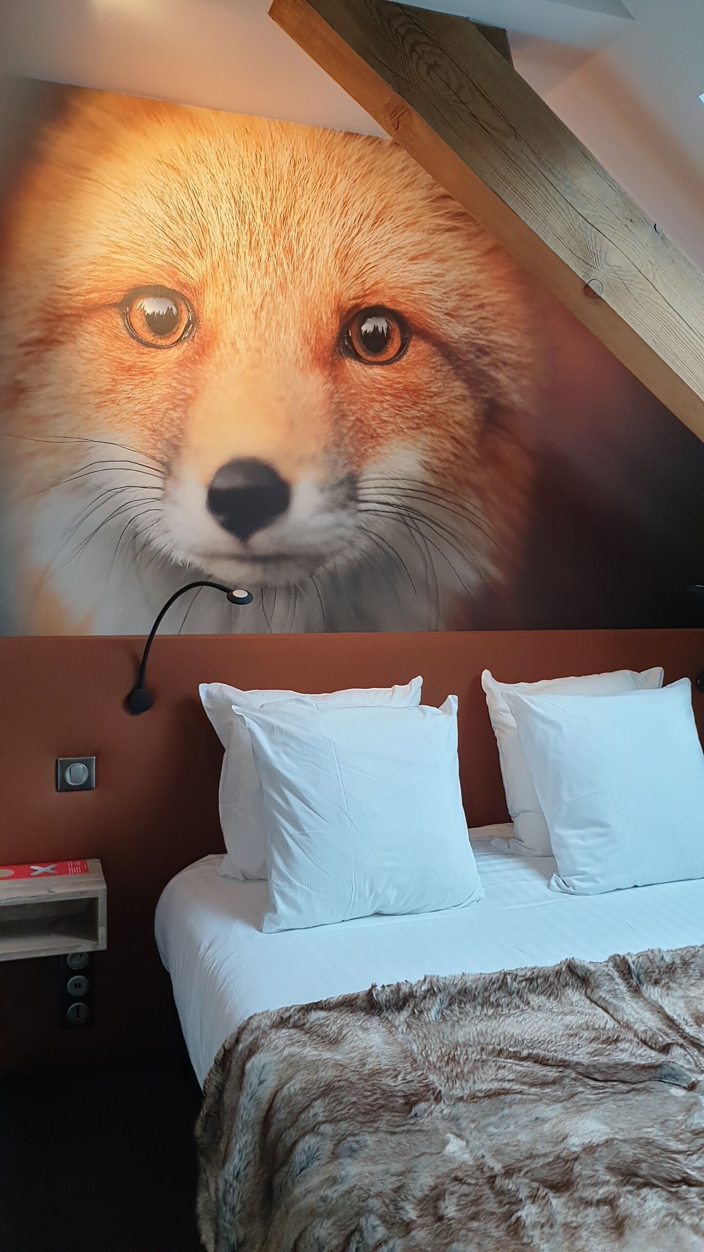 Makuuhuoneessa on suuri seinämaalaus, jossa on kuvattuna kettu, ja se on maalattu kattoon. Huoneessa on valkoisilla lakanoiden peitetty sänky ja sängällä on pehmeä, tekoturkiksesta valmistettu heittopeitto.
