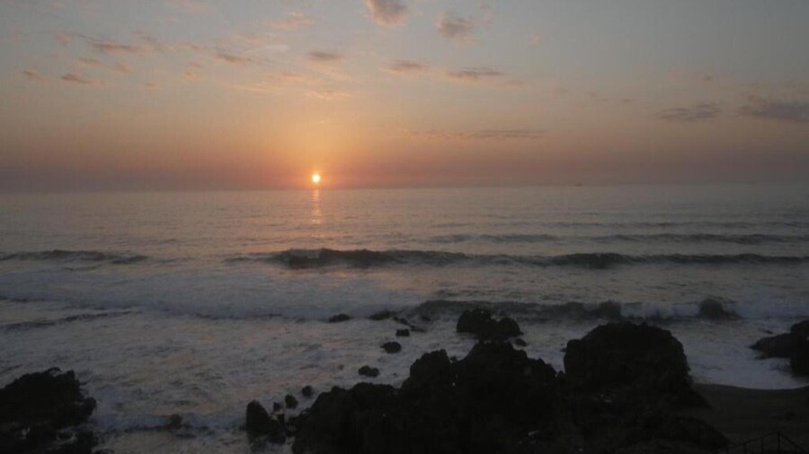 Feel Porto Matosinhos City Flat I