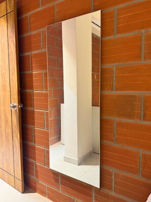 A bathroom with a wooden door, a mirror, and a brick wall.