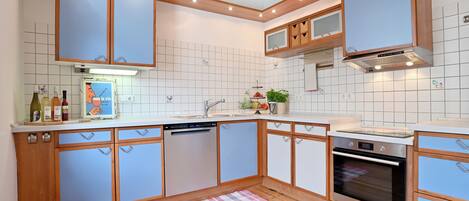 Oven, stovetop, dishwasher