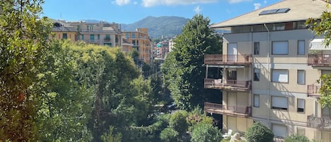 开间, 1 张双人床, 花园景观 | 花园景观