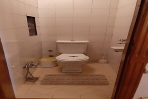 Hair dryer, towels, soap, toilet paper