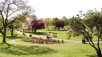 Shared Dormitory, 1 Bedroom, City View | Miscellaneous