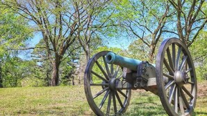 A cannon in a grassy field with trees in the background. - Private Guesthouse Retreat Near Kentucky Lake! (Dover)