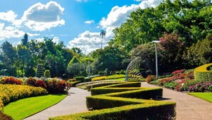 Un jardin bien entretenu, avec un sentier sinueux, des haies soigneusement taillées et une variété de fleurs aux couleurs vives.