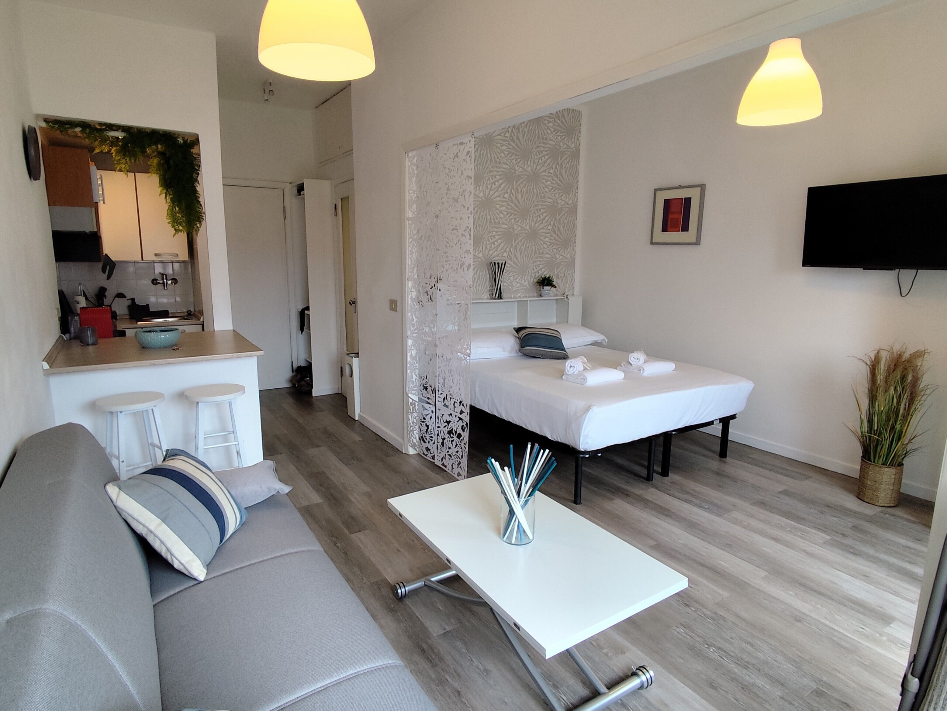 Studio, 1 Double Bed, Mountain View | Living area