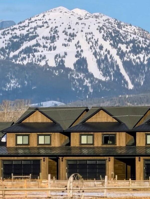 A row of wooden cabins with a mountain backdrop.