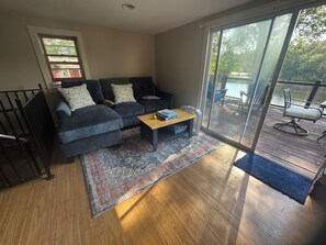 Smart TV, fireplace, books