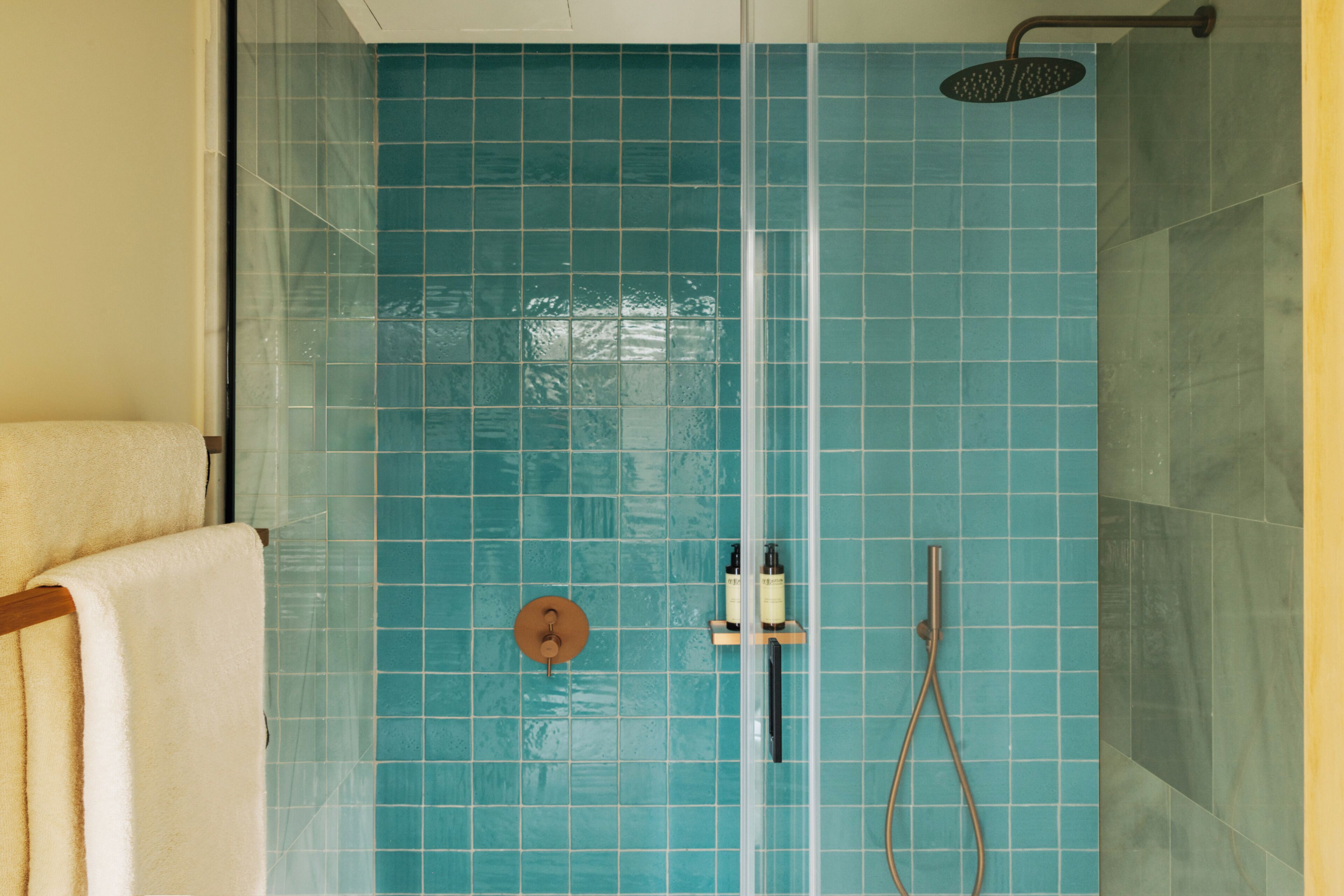 A bathroom with a glass shower enclosure, a towel rack, and a showerhead.