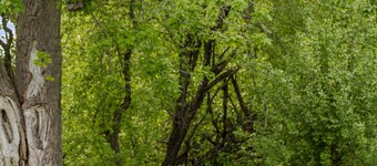 Westlake Cottages The Rosehall PEC Waterfront Stay