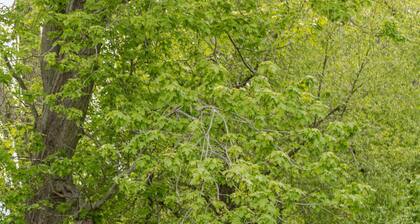 Cozy Couple`s Getaway in PEC