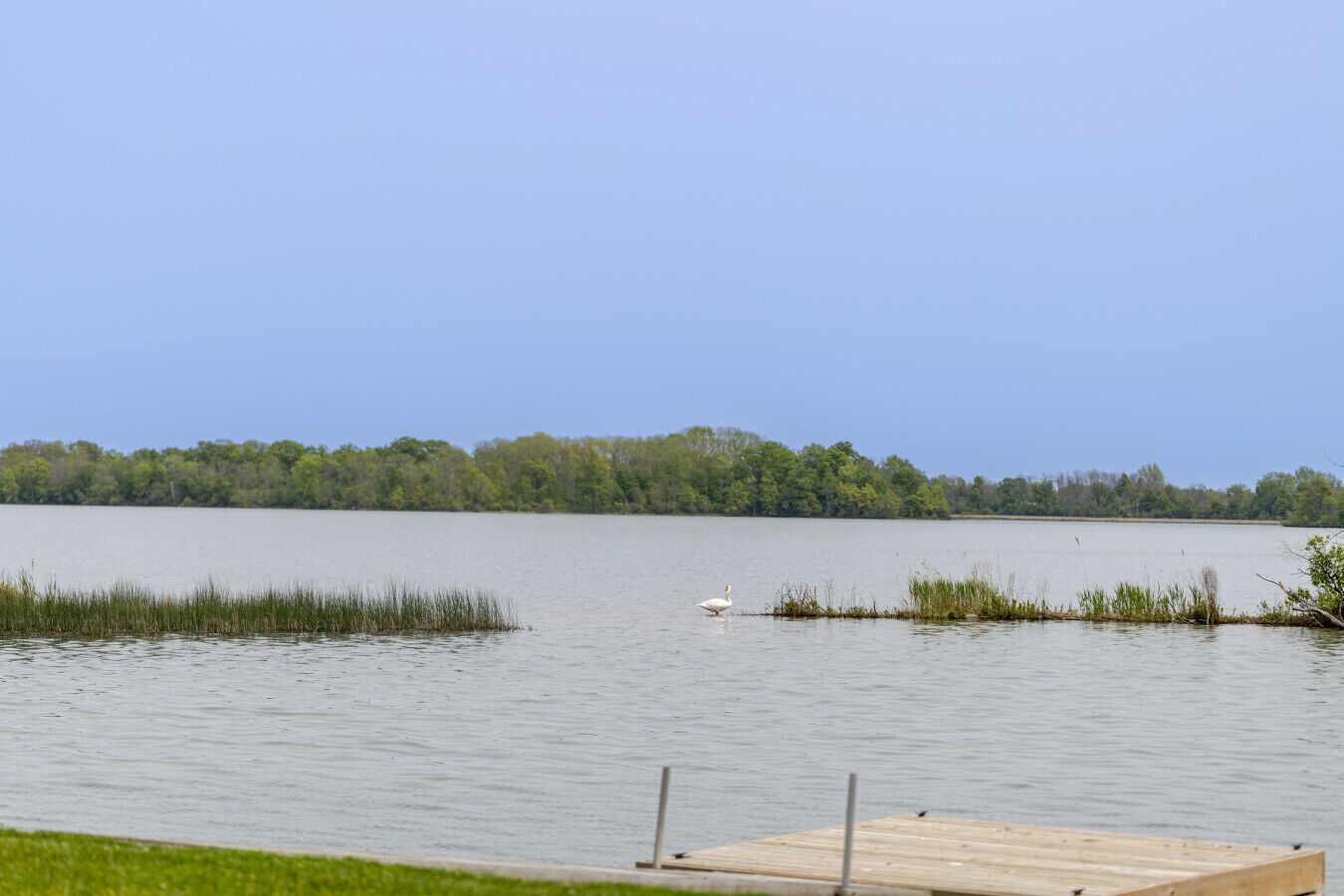 Un lac paisible, avec une jetée en bois et un cygne sur l’eau.