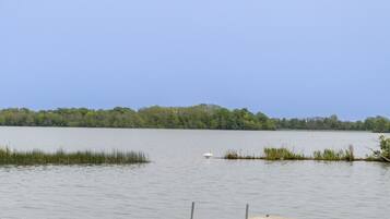 Un lac paisible, avec une jetée en bois et un cygne sur l’eau.